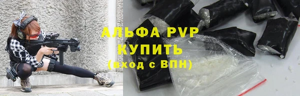 Альфа ПВП Инсар