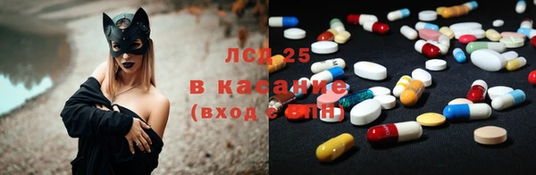 Альфа ПВП Инсар