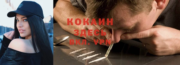Альфа ПВП Инсар