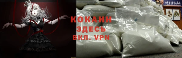Альфа ПВП Инсар