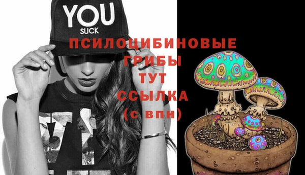 Альфа ПВП Инсар