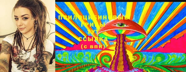 Альфа ПВП Инсар